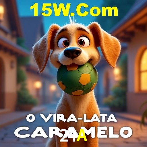 24A — tipos de mensagem disponíveis no canal de opinião do aplicativo